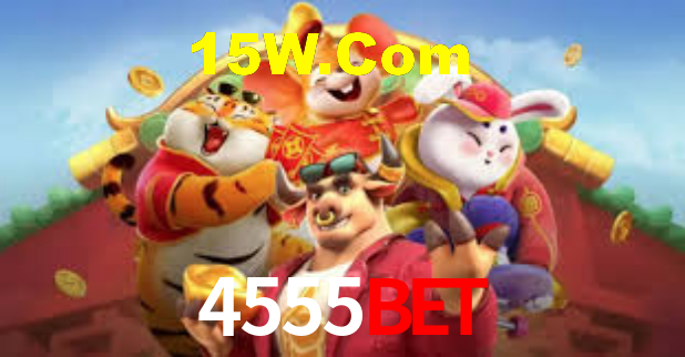 Premium Interface 4555bet